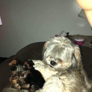 Meet your Posher, Kylie